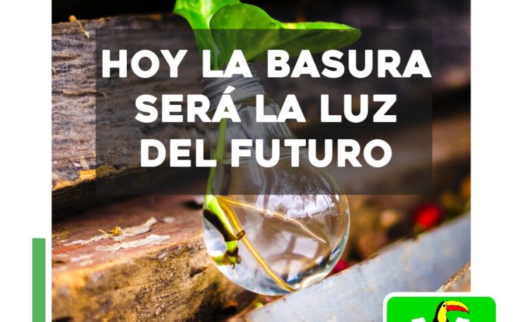 LAS ENERGÍAS RENOVABLES SON EL PRESENTE Y EL FUTURO GRACIAS A LAS REFORMAS DEL PARTIDO VERDE