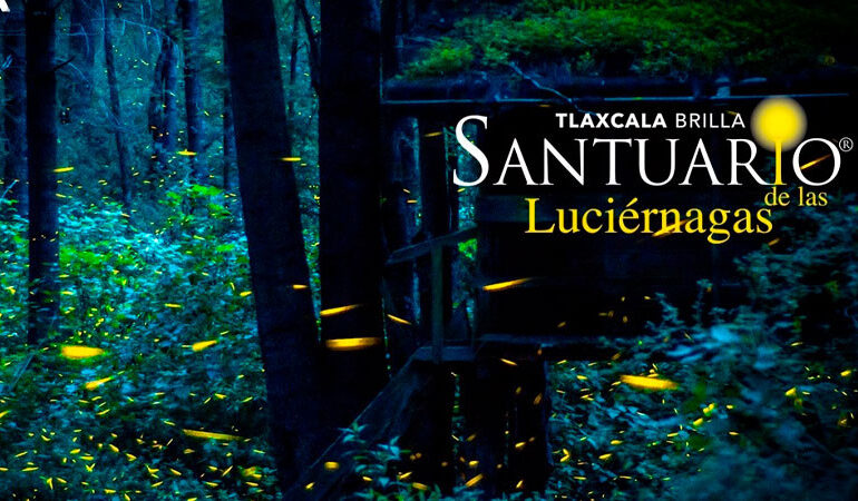 Avistamiento de luciérnagas en Tlaxcala, importante motivador de viaje: Sectur