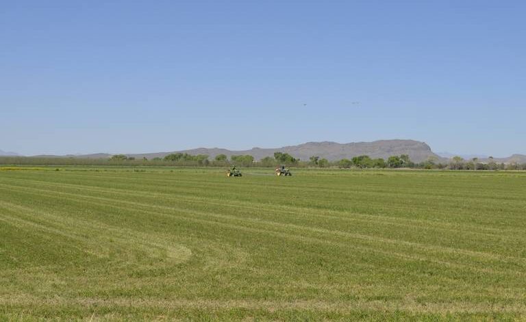 Agricultores del estado de Chihuahua adeudan más de 3 mil mdp a la CFE