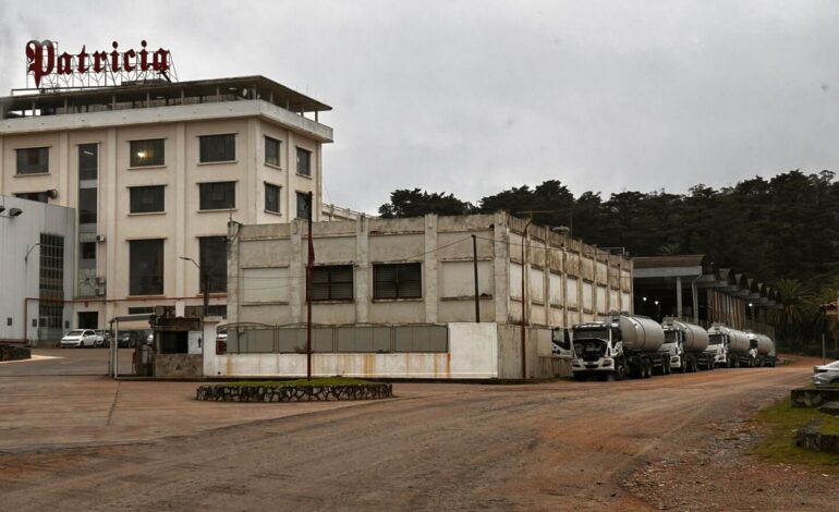 La “autorización excepcional” que el Ministerio de Transporte le dio a FNC y generó polémica