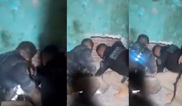 Rescatan a perrita atrapada en medio de dos muros en CDMX