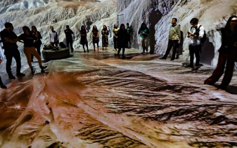 Fotógrafos de NatGeo traen a México una experiencia inmersiva del mundo natural desde Canadá