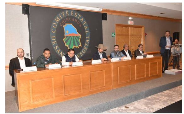 Chihuahua lidera la producción de algodón hueso con más de 454 mil toneladas libres de plagas