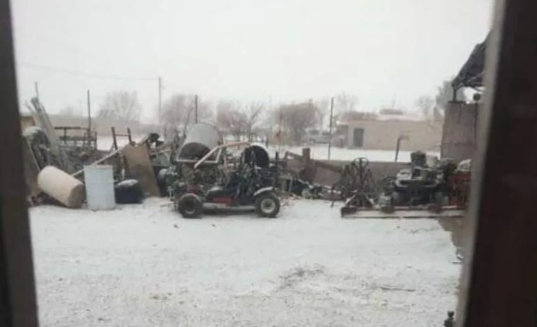 Cae la primera nevada del año en Janos