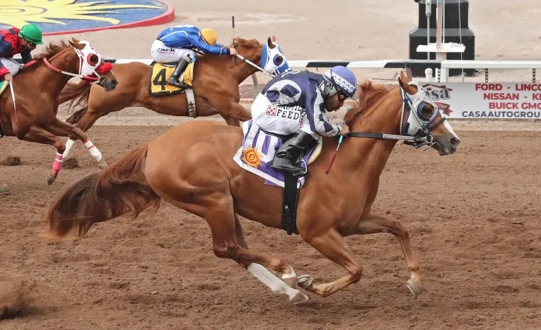 Political Twist gana el West Texas Futurity Grado 2 en Sunland Park