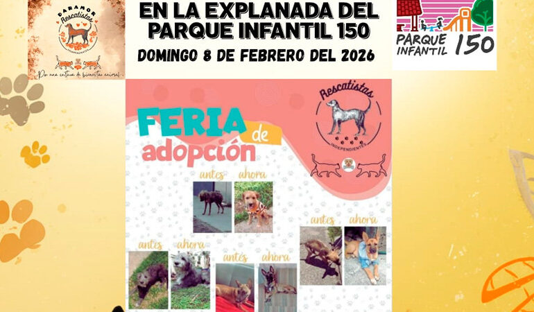 Rescatistas independientes convocan a feria de adopción este domingo en Morelia